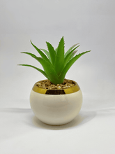 Mini Artificial Aloe Plant – in Ceramic Pot